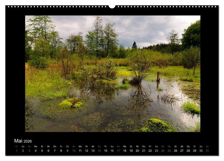 Produktbild: Hohes Venn und Ardennen (hochwertiger Premium Wandkalender 2026 DIN A2 quer), Kunstdruck in Hochglanz
