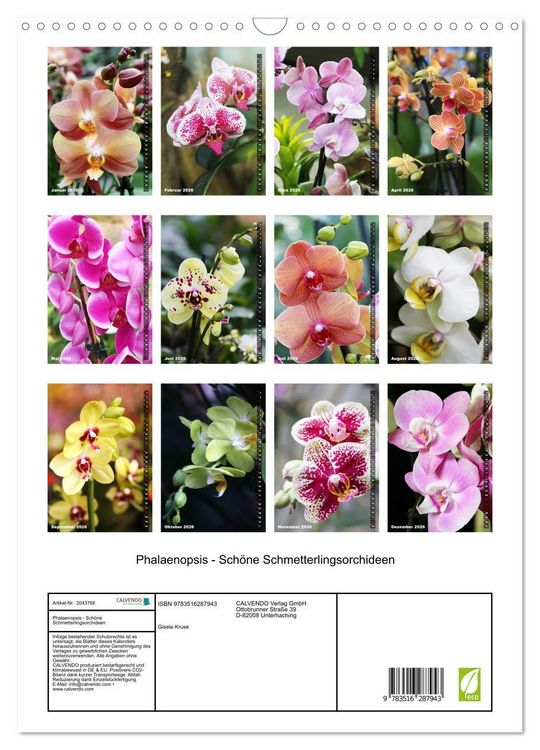 Produktbild: Phalaenopsis - Sch&ouml;ne Schmetterlingsorchideen (Wandkalender 2026 DIN A3 hoch), CALVENDO Monatskalender