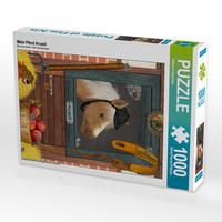 Produktbild: CALVENDO Puzzle Mein Pferd Avanti | 1000 Teile Lege-Gr&ouml;&szlig;e 64x48cm Foto-Puzzle f&uuml;r gl&uuml;ckliche Stunden