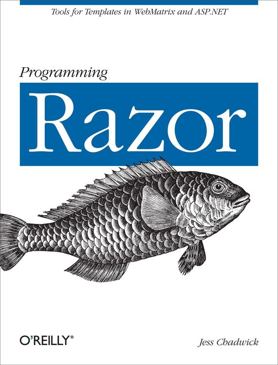 Produktbild: Programming Razor