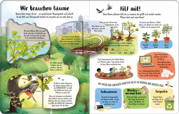 Produktbild: Ich wei&szlig; mehr! B&auml;ume