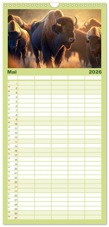 Produktbild: Familienplaner 2026 - Amerikanischer Bison mit 5 Spalten (Wandkalender, 21 x 45 cm) CALVENDO