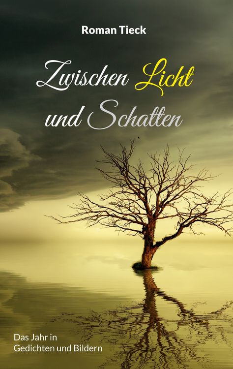 Produktbild: Zwischen Licht und Schatten