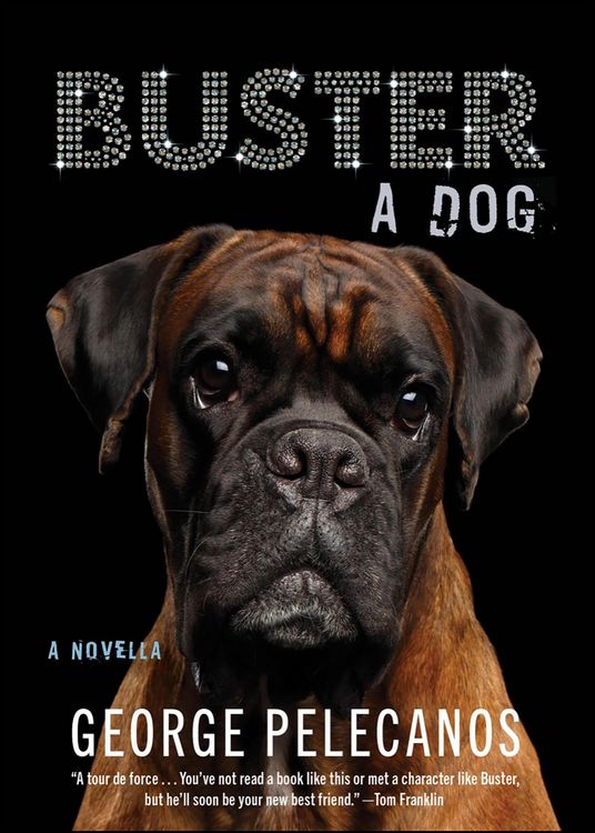 Produktbild: Buster