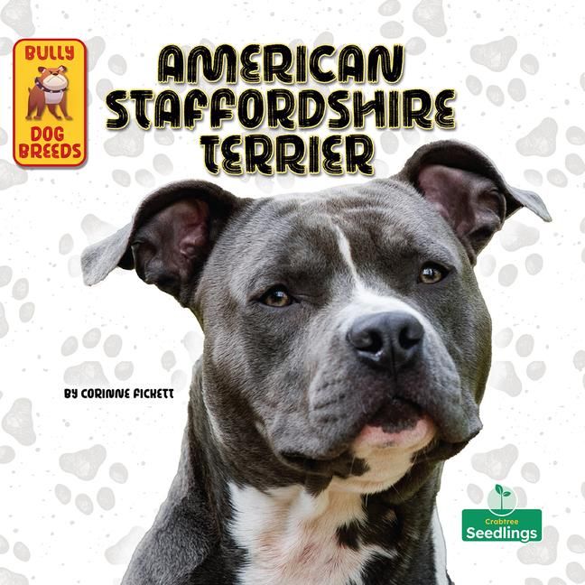 Produktbild: American Staffordshire Terrier