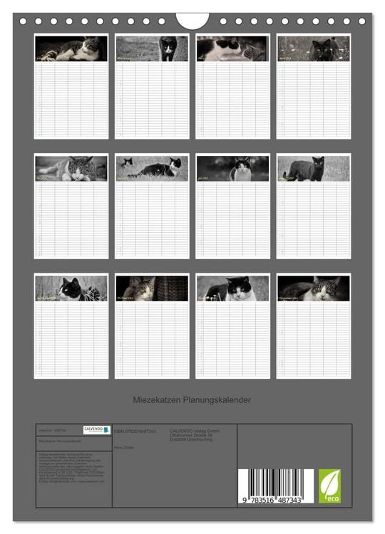 Produktbild: Miezekatzen Planungskalender (Wandkalender 2026 DIN A4 hoch), CALVENDO Monatskalender