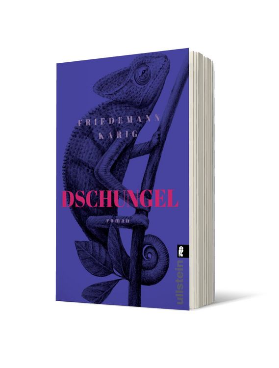 Produktbild: Dschungel