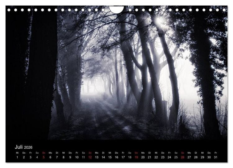 Produktbild: Mystische W&auml;lder (Wandkalender 2026 DIN A4 quer), CALVENDO Monatskalender