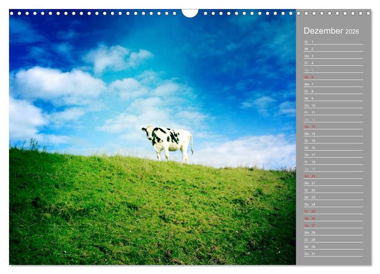 Produktbild: AUF DEM DEICH (Wandkalender 2026 DIN A3 quer), CALVENDO Monatskalender