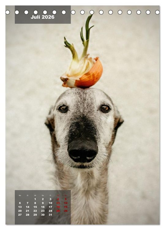 Produktbild: UNDERDOG - Windhundportraits (Tischkalender 2026 DIN A5 hoch), CALVENDO Monatskalender