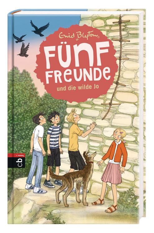 Fünf Freunde und die wilde Jo
