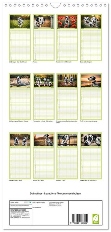 Produktbild: Familienplaner 2026 - Dalmatiner - freundliche Temperamentsbolzen mit 5 Spalten (Wandkalender, 21 x 45 cm) CALVENDO