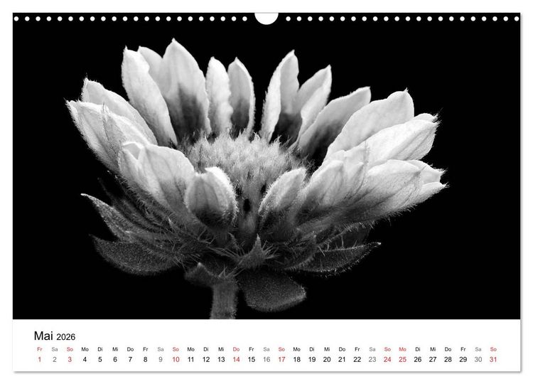 Produktbild: Blumen 2026, Schwarz-Wei&szlig; (Wandkalender 2026 DIN A3 quer), CALVENDO Monatskalender