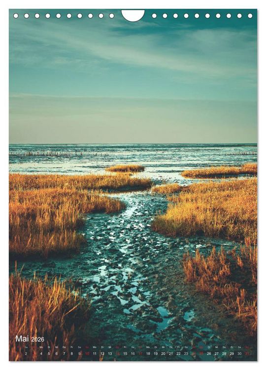 Produktbild: Farbenpracht Nordsee (Wandkalender 2026 DIN A4 hoch), CALVENDO Monatskalender