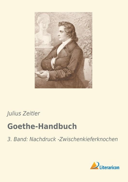 Produktbild: Goethe-Handbuch