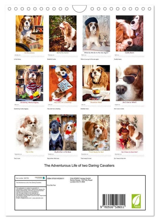Produktbild: The Adventurous Life of two Daring Cavaliers (Wall Calendar 2026 DIN A4 portrait), CALVENDO 12 Month Wall Calendar