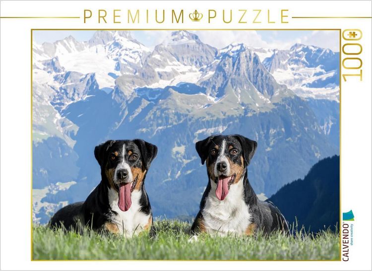 Produktbild: CALVENDO Puzzle Appenzeller H&uuml;ndinnen in der Schweizer Heimat | 1000 Teile Lege-Gr&ouml;&szlig;e 64x48cm Foto-Puzzle f&uuml;r gl&uuml;ckliche Stunden