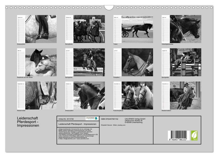 Produktbild: Leidenschaft Pferdesport - Impressionen (Wandkalender 2026 DIN A3 quer), CALVENDO Monatskalender