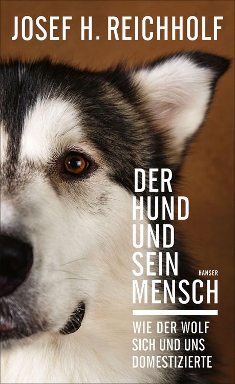 Produktbild: Der Hund und sein Mensch