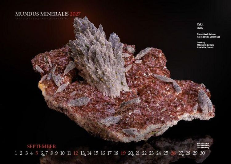 Produktbild: MUNDUS MINERALIS 2027