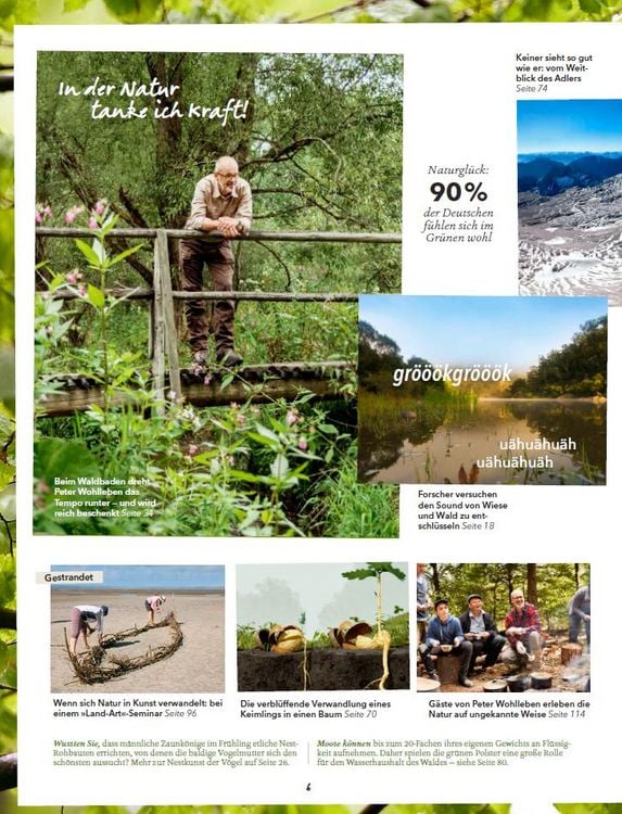 Produktbild: Wohllebens Welt / Wohllebens Welt 1/2019 - Ein neuer Blick auf die Natur