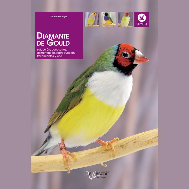 Produktbild: Diamante de Gould