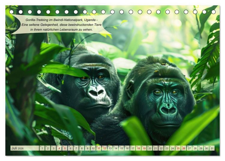 Produktbild: Abenteuerideen f&uuml;r Adrenalin Junkies (Tischkalender 2026 DIN A5 quer), CALVENDO Monatskalender