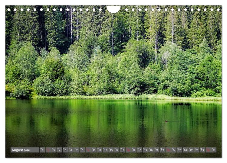 Produktbild: Schwarzwald-Wanderungen (Wandkalender 2026 DIN A4 quer), CALVENDO Monatskalender