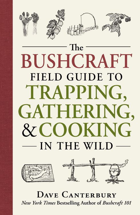 Produktbild: The Bushcraft Field Guide to Trapping, Gathering, and Cooking in the Wild