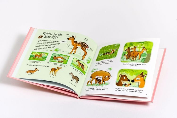 Produktbild: Kennst du die Tierkinder? - Sachbilderbuch f&uuml;r Kinder ab 3 Jahren
