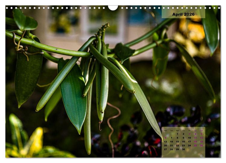 Produktbild: Fruits of Grenada (Wall Calendar 2026 DIN A3 landscape), CALVENDO 12 Month Wall Calendar