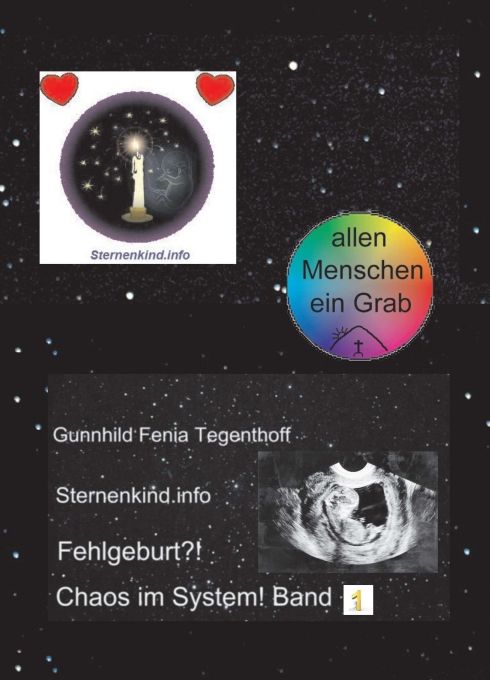 Produktbild: Fehlgeburt? Chaos im System! Band 1