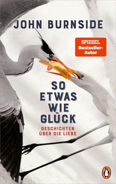 Produktbild: So etwas wie Gl&uuml;ck