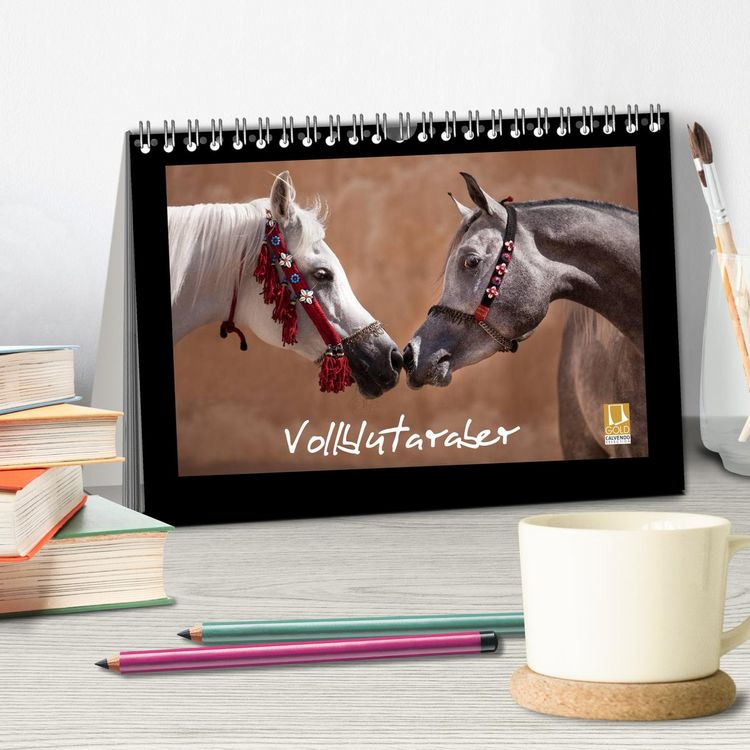 Produktbild: Vollblutaraber (Tischkalender 2026 DIN A5 quer), CALVENDO Monatskalender