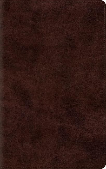 Produktbild: Thinline Bible-ESV