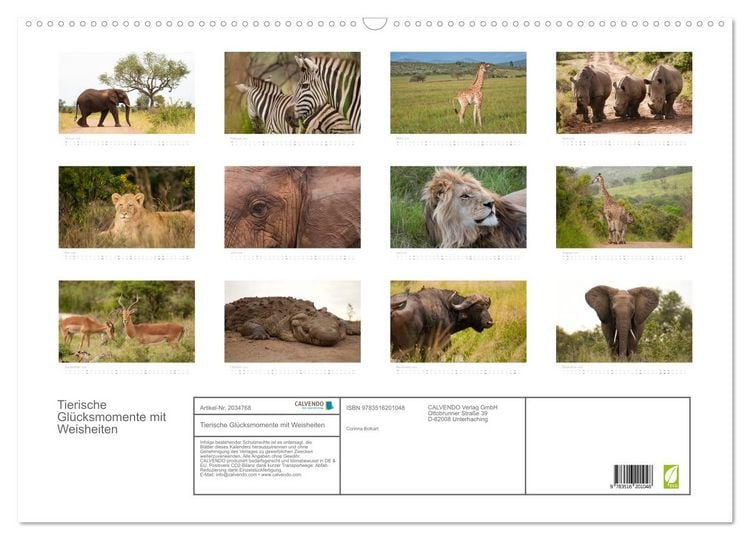 Produktbild: Tierische Gl&uuml;cksmomente mit Weisheiten (Wandkalender 2026 DIN A2 quer), CALVENDO Monatskalender
