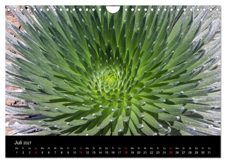Produktbild: Paradiese der Erde - HAWAII (Wandkalender 2027 DIN A4 quer), CALVENDO Monatskalender