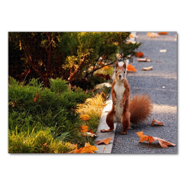 Produktbild: Lais Puzzle Eichh&ouml;rnchen 1000 Teile