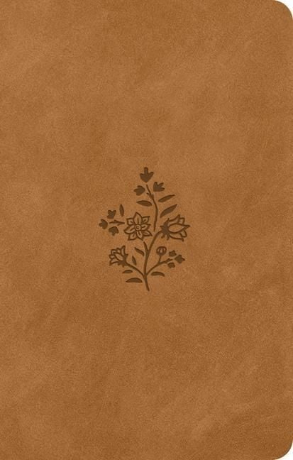 Produktbild: ESV Premium Gift Bible