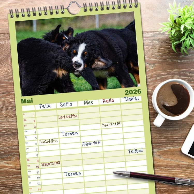 Produktbild: Familienplaner 2026 - Berner Sennenhund Welpen - Bezaubernde Pl&uuml;schb&auml;rchen mit 5 Spalten (Wandkalender, 21 x 45 cm) CALVENDO