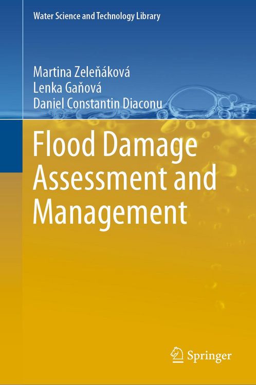 Produktbild: Flood Damage Assessment and Management