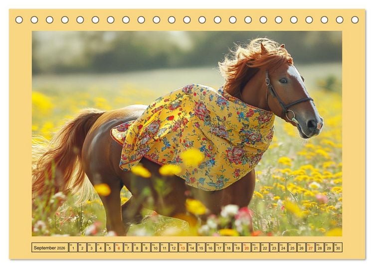 Produktbild: Pferde-Fashion. Modische Highlights auf Hufen (Tischkalender 2026 DIN A5 quer), CALVENDO Monatskalender