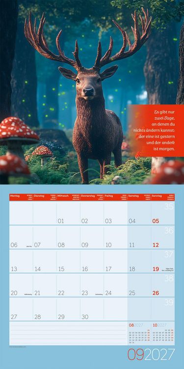Produktbild: Alles wird gut Kalender 2027 - 30x30 - Art12