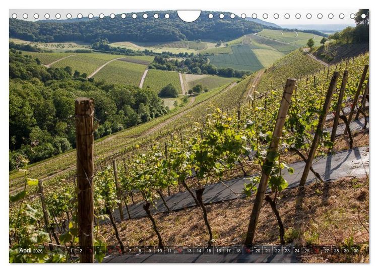 Produktbild: Weinlagen in Franken (Wandkalender 2026 DIN A4 quer), CALVENDO Monatskalender