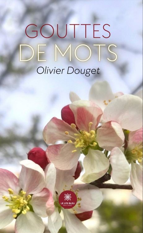 Produktbild: Gouttes de mots