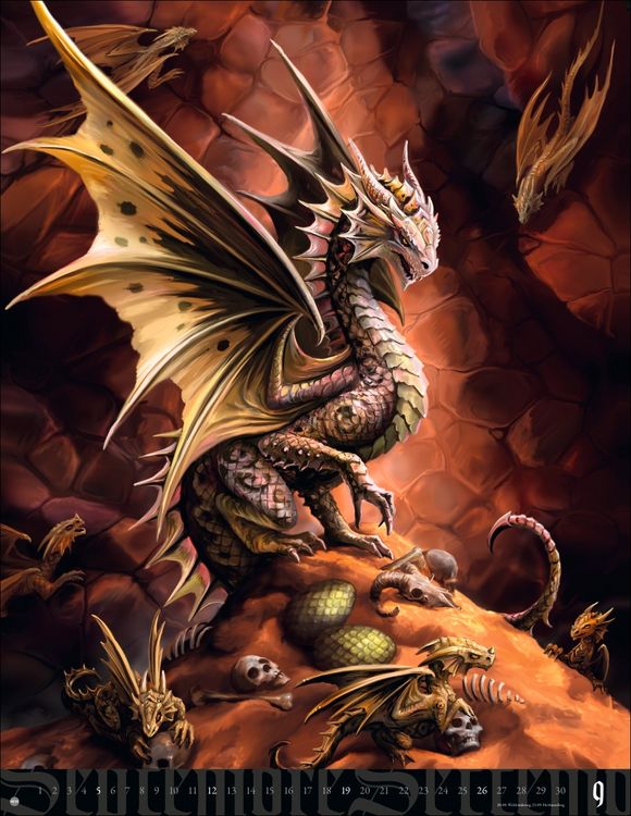 Produktbild: Anne Stokes: Mystic World Posterkalender 2027