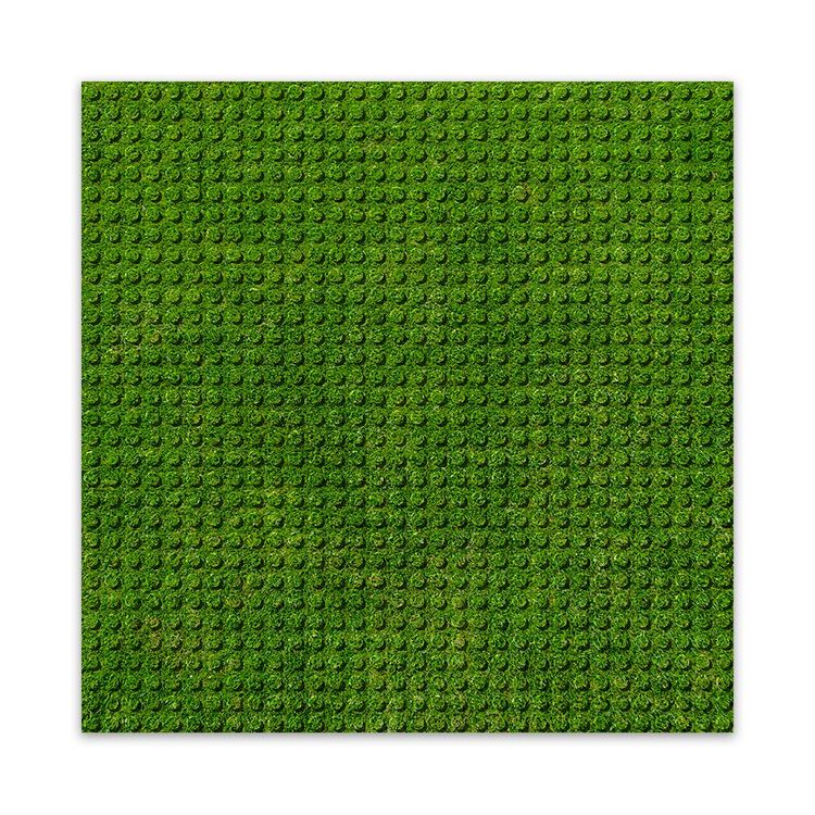 Produktbild: BRIXIES 225000 - Platte 32 x 32 Rasen, Fotorealistische Bauplatte, 1 St&uuml;ck
