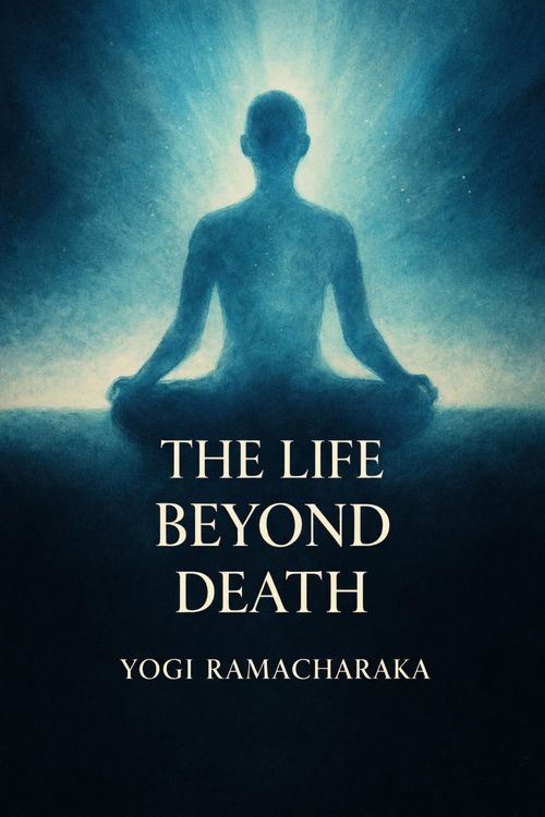Produktbild: The Life Beyond Death