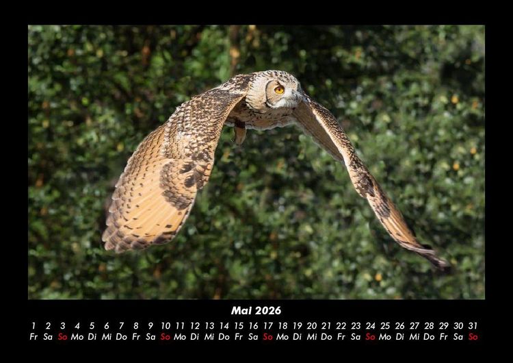 Produktbild: Vogelparadies 2026 Fotokalender DIN A3