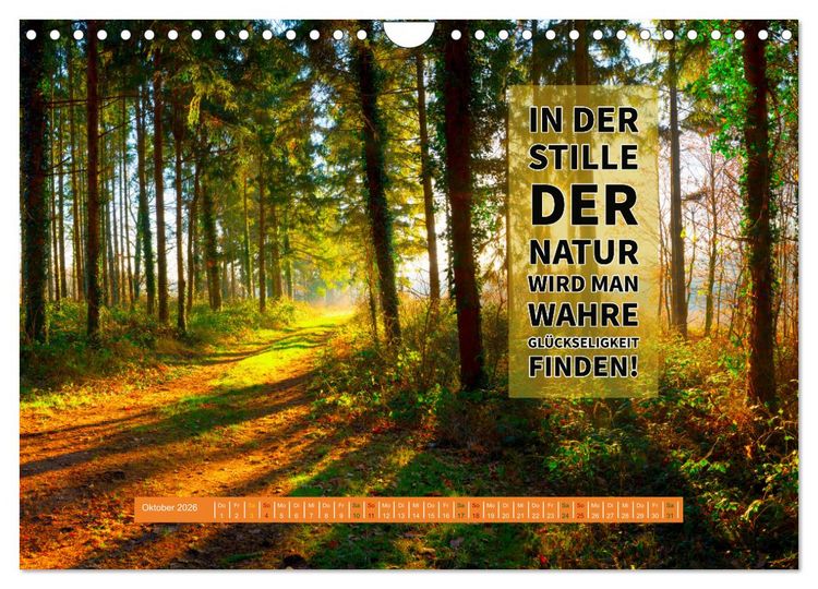 Produktbild: WALD Erholung pur (Wandkalender 2026 DIN A4 quer), CALVENDO Monatskalender